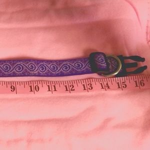 Lupine Quik Release Dog Collar